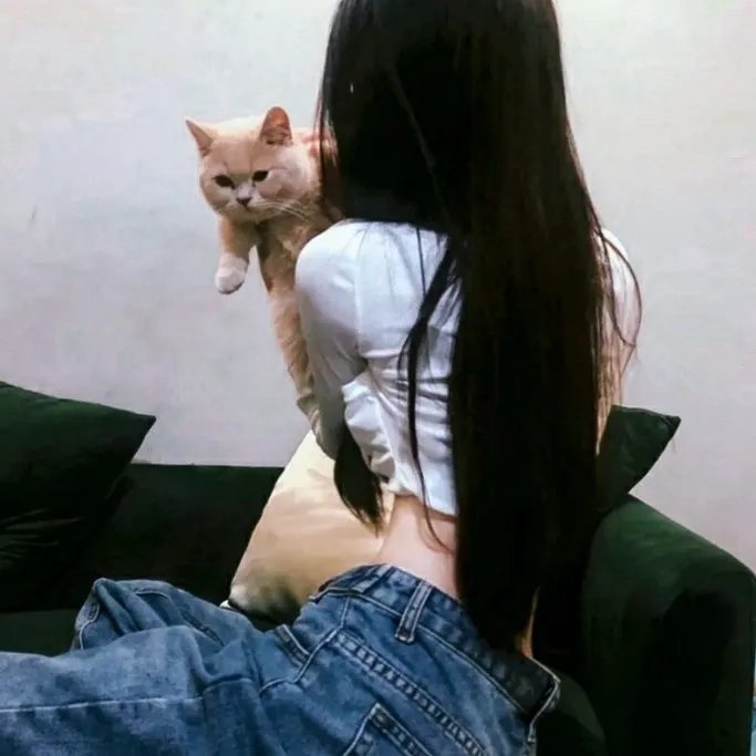 流浪猫鲍勃2：鲍勃的礼物